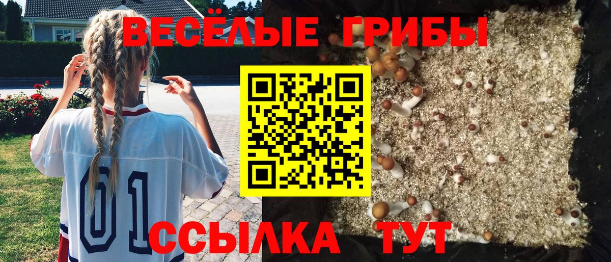 Псилоцибиновые грибы MAGIC MUSHROOMS  Вход с VPN  Нижний Новгород 